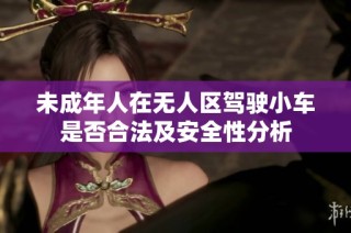 未成年人在无人区驾驶小车是否合法及安全性分析