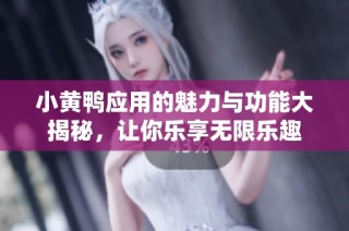 小黄鸭应用的魅力与功能大揭秘，让你乐享无限乐趣