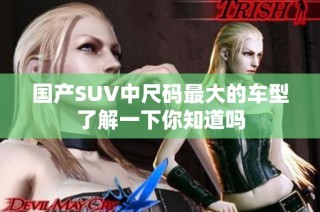 国产SUV中尺码最大的车型了解一下你知道吗