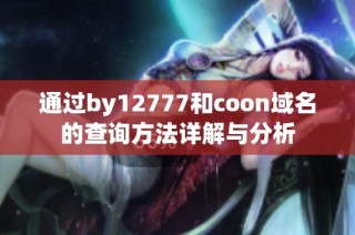 通过by12777和coon域名的查询方法详解与分析