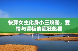 快穿女主化身小三攻略，爱情与背叛的疯狂旅程