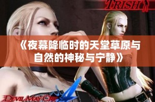 《夜幕降临时的天堂草原与自然的神秘与宁静》