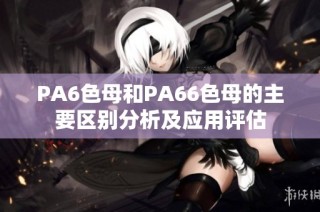 PA6色母和PA66色母的主要区别分析及应用评估
