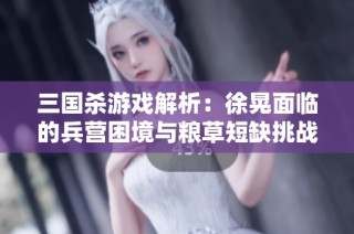 三国杀游戏解析：徐晃面临的兵营困境与粮草短缺挑战