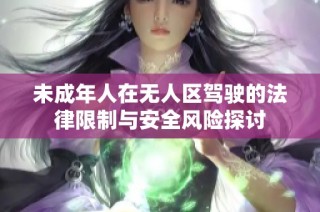 未成年人在无人区驾驶的法律限制与安全风险探讨