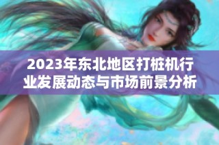 2023年东北地区打桩机行业发展动态与市场前景分析