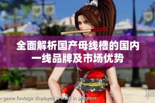 全面解析国产母线槽的国内一线品牌及市场优势