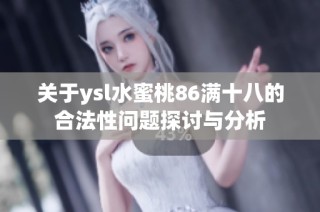 关于ysl水蜜桃86满十八的合法性问题探讨与分析