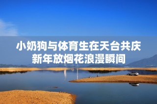 小奶狗与体育生在天台共庆新年放烟花浪漫瞬间