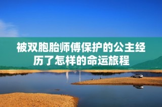 被双胞胎师傅保护的公主经历了怎样的命运旅程
