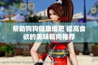 帮助狗狗健康增肥 提高食欲的美味精肉推荐