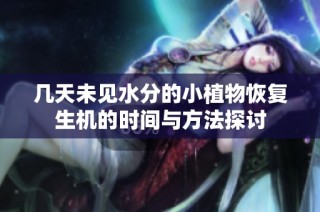 几天未见水分的小植物恢复生机的时间与方法探讨
