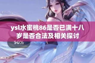 ysl水蜜桃86是否已满十八岁是否合法及相关探讨