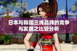 日本与韩国三线品牌的竞争与发展之比较分析