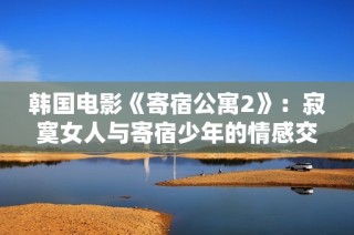 韩国电影《寄宿公寓2》：寂寞女人与寄宿少年的情感交织历程