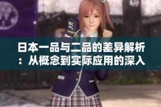 日本一品与二品的差异解析：从概念到实际应用的深入探讨