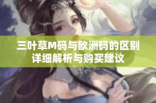 三叶草M码与欧洲码的区别详细解析与购买建议