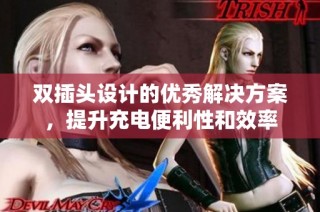 双插头设计的优秀解决方案，提升充电便利性和效率