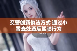 交警创新执法方式 通过小雪查处酒后驾驶行为