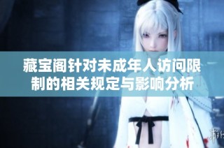 藏宝阁针对未成年人访问限制的相关规定与影响分析