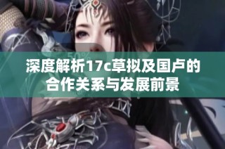 深度解析17c草拟及国卢的合作关系与发展前景