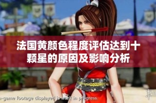 法国黄颜色程度评估达到十颗星的原因及影响分析