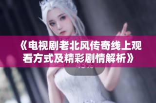 《电视剧老北风传奇线上观看方式及精彩剧情解析》