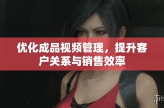 优化成品视频管理，提升客户关系与销售效率