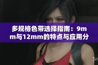 多规格色带选择指南：9mm与12mm的特点与应用分析