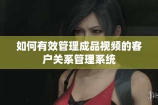 如何有效管理成品视频的客户关系管理系统