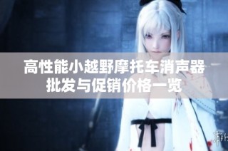 高性能小越野摩托车消声器批发与促销价格一览