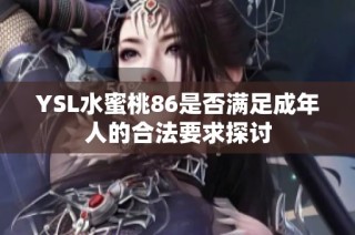 YSL水蜜桃86是否满足成年人的合法要求探讨