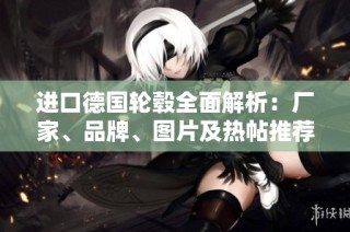 进口德国轮毂全面解析：厂家、品牌、图片及热帖推荐
