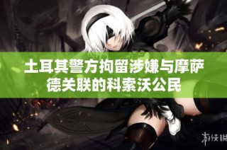 土耳其警方拘留涉嫌与摩萨德关联的科索沃公民
