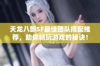 天龙八部SF最佳团队搭配推荐，助你畅玩游戏的秘诀！