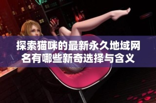 探索猫咪的最新永久地域网名有哪些新奇选择与含义