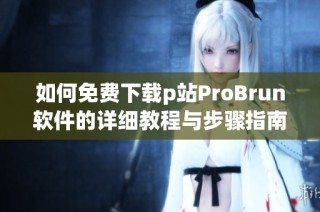 如何免费下载p站ProBrun软件的详细教程与步骤指南