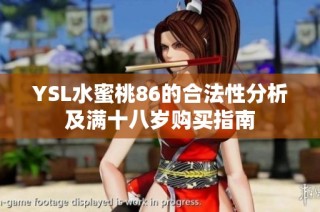 YSL水蜜桃86的合法性分析及满十八岁购买指南