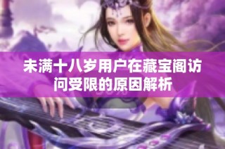 未满十八岁用户在藏宝阁访问受限的原因解析