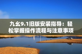 九幺9.1旧版安装指导：轻松掌握操作流程与注意事项