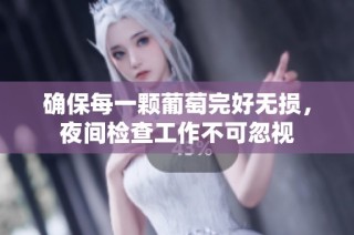 确保每一颗葡萄完好无损，夜间检查工作不可忽视