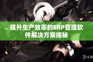 提升生产效率的ERP管理软件解决方案揭秘