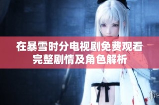 在暴雪时分电视剧免费观看完整剧情及角色解析