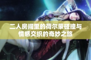 二人房间里的荷尔蒙碰撞与情感交织的奇妙之旅