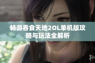 畅游吞食天地2OL单机版攻略与玩法全解析