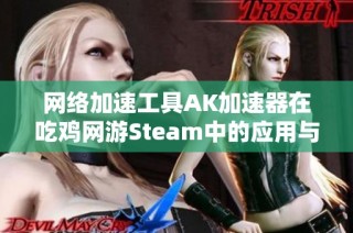 网络加速工具AK加速器在吃鸡网游Steam中的应用与时长分析