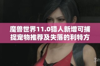 魔兽世界11.0猎人新增可捕捉宠物推荐及失落的利特方探索