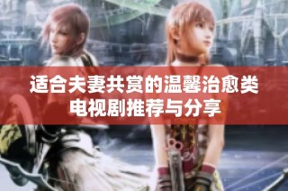 适合夫妻共赏的温馨治愈类电视剧推荐与分享
