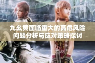 九幺黄面临重大的高危风险问题分析与应对策略探讨