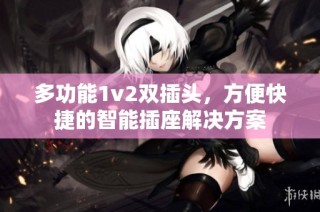 多功能1v2双插头，方便快捷的智能插座解决方案